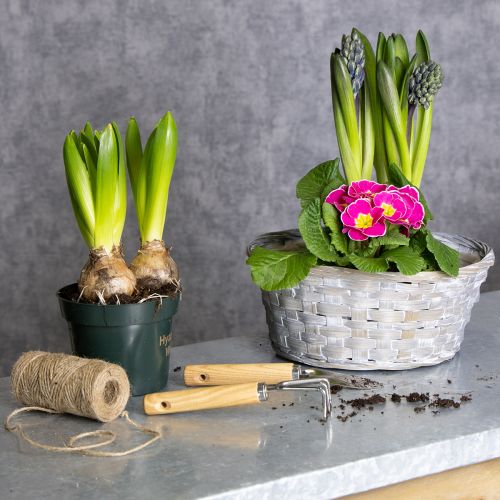 Geflochtener Blumenkorb aus Spanholz 23 cm Set 6 Stück Weiss-Braun-Grau | Floristik24.ch