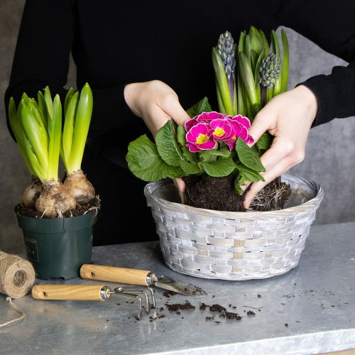 Geflochtener Blumenkorb aus Spanholz 23 cm Set 6 Stück Weiss-Braun-Grau | Floristik24.ch