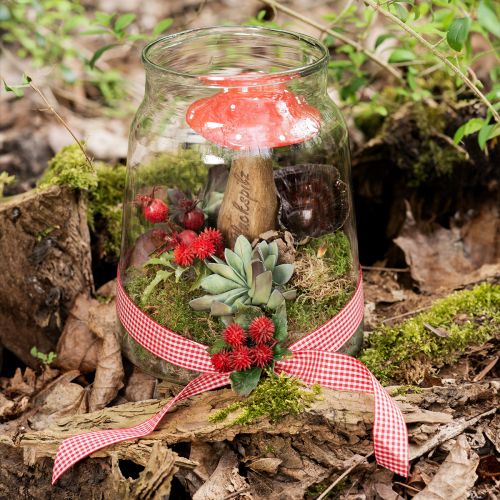 Floristik24 Geschenkband Karo Bordeaux 25mm 20m