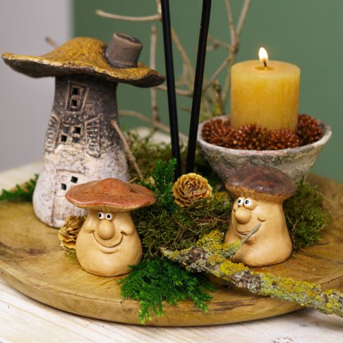 Artikel Herbstdeko Set Igel Pilze Drachen – Deko Box günstig kaufen