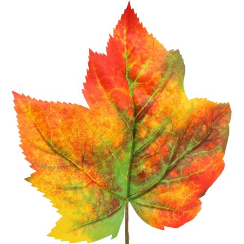Floristik24 Ahornblatt Deko 36cm 12St