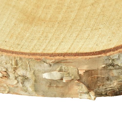 Floristik24 Holzscheiben Deko Birke Baumscheiben Ø15-18cm 3 St