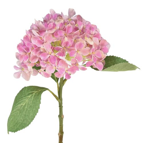 Floristik24 Hortensie künstlich Rosa Kunstblume Rosa Ø15,5cm 45cm