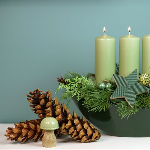 Floristik24 Kiefernzapfen Weymouthskiefer Strobus  Natur Gemischt 2,5kg