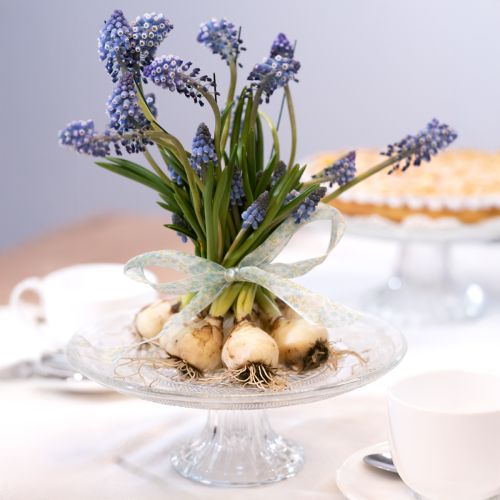 Floristik24 Klassische Glas-Tortenplatte mit feiner Gravur - Elegant für jede Feier Ø 20cm