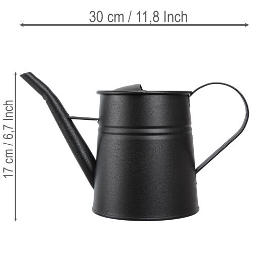 Gieskanne Metall Schwarz 30x13x17cm 1,7l Dekoratives Pflanzgefäss Innen Aussen | Floristik24.ch