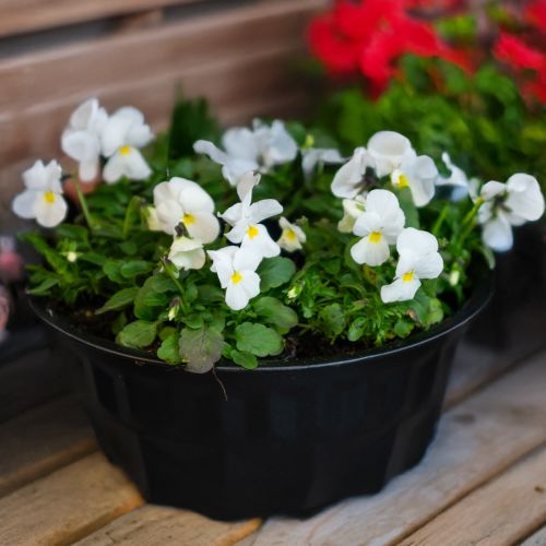 Artikel Küchendeko Schwarz Kuchenform Gugelhupf Metall Ø23cm