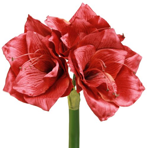 Floristik24 Künstliche Amaryllis Kunstblumen Rot Ø18cm L68cm 2St