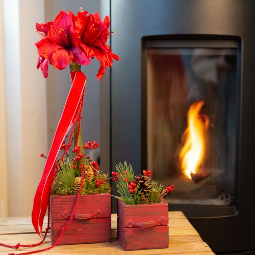 Floristik24 Künstliche Amaryllis Kunstblumen Rot Ø18cm L68cm 2St