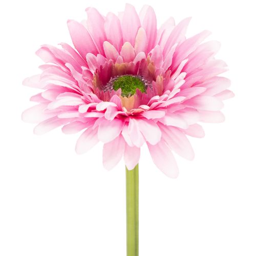 Künstliche Gerbera Rosa 47 cm mit biegsamem Stiel 6St online kaufen | Floristik24.ch