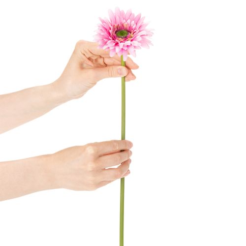 Künstliche Gerbera Rosa 47 cm mit biegsamem Stiel 6St | Floristik24.ch