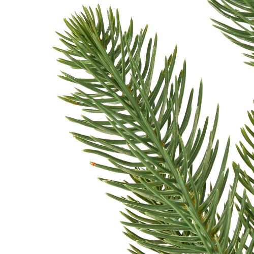 Floristik24 Künstliche Tannenzweige Tannenpick in Grün L50cm 3St