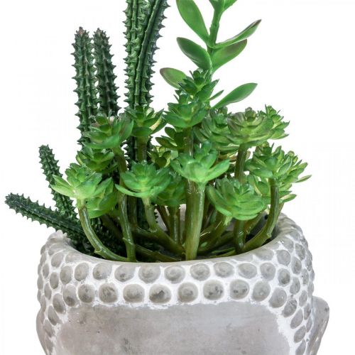 Floristik24 Künstliche Sukkulenten Blumentopf Buddha Ø12cm H24cm