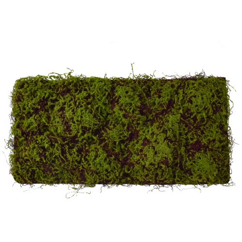 Künstliches Moos Große Moosmatte Braun Grün 100×50cm