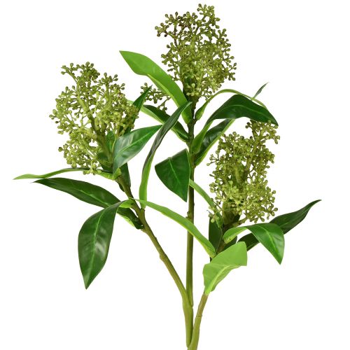 Floristik24 Kunstblumen Grün Skimmia japonica Skimmie 45cm 2St
