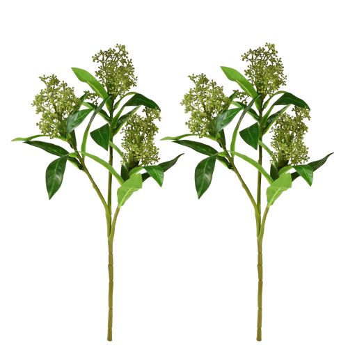Artikel Kunstblumen Grün Skimmia japonica Skimmie 45cm 2St