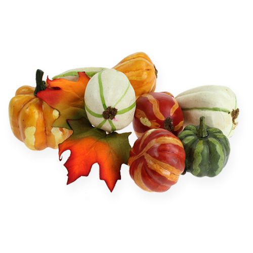 Kürbismix bunt 12St | Floristik24.ch