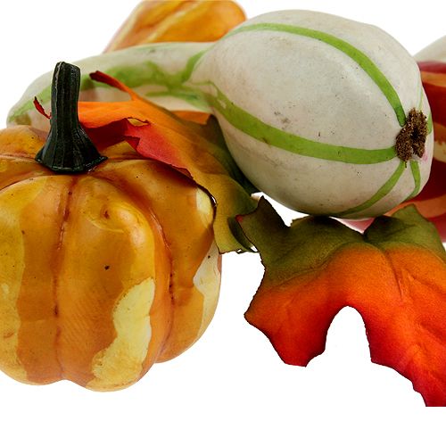 Kürbismix bunt 12St | Floristik24.ch