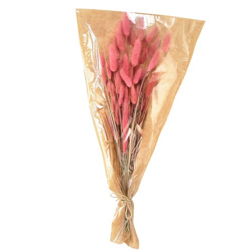 Floristik24 Lagurus Getrocknet Hasenschwanzgras Rosa L45cm 50g