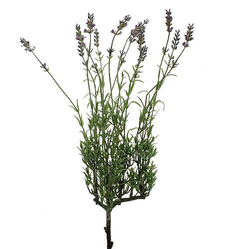 Floristik24 Künstliche Lavendel 53cm