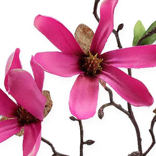 Floristik24 Magnolien Zweig Pink 45cm 4St