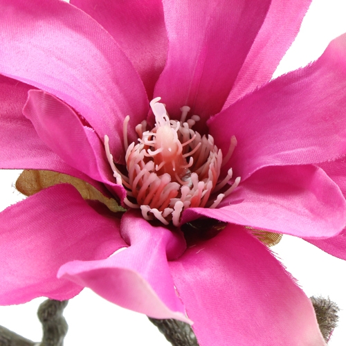 Floristik24 Magnoliezweig 45cm 3St