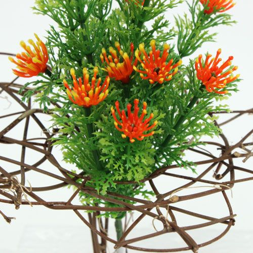 Floristik24 Rebenmanschette 25cm 5St