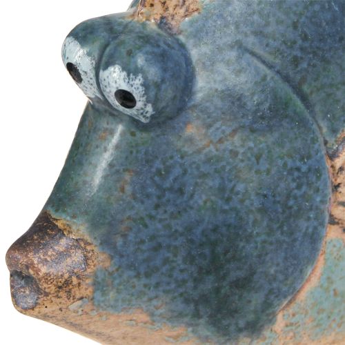 Floristik24 Maritime Deko Fische Blau Keramikdeko Sortiert 19/17cm 2 St