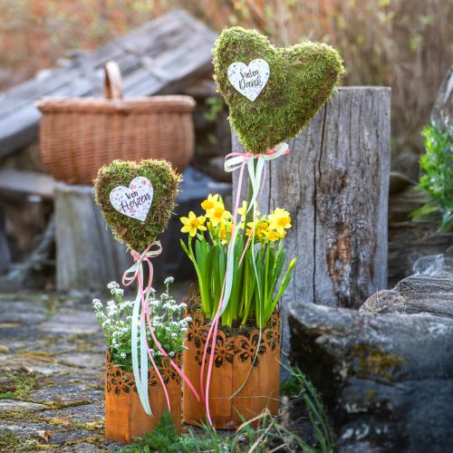 Floristik24 Metall Deko Rost Windlicht Übertopf Metall Ø12cm H17cm