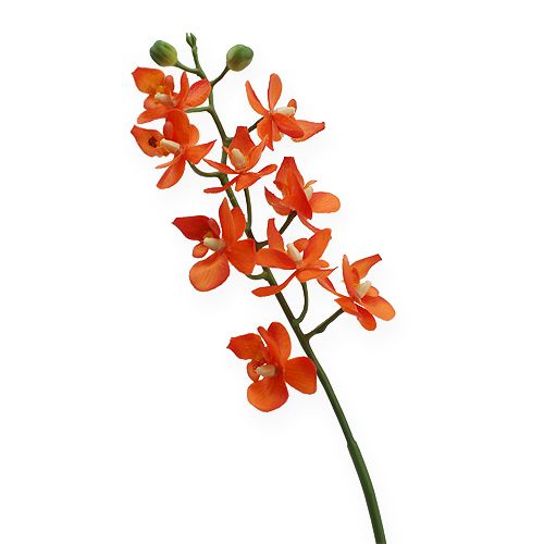 Floristik24 Mini-Orchidee Real Touch Orange 35cm