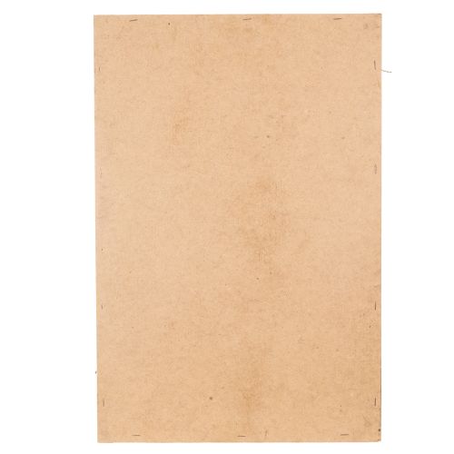 Artikel Moosbild Echtes Moos konserviert und Zweige Natur 60×40cm