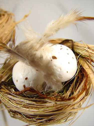 Floristik24 Vogelnest mit Eiern am Stab 6cm 6St