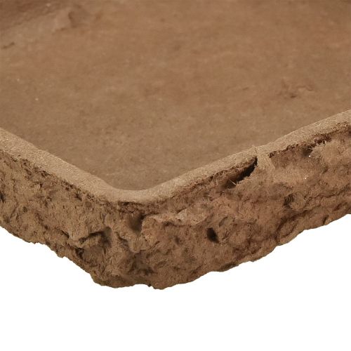 Artikel Oasis Biolit Basis Steckschaum 13x13x2cm 12er Set Blumendeko DIY