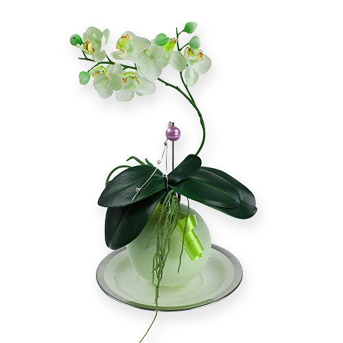 Floristik24 Steckschaum Kugeln Grün 9cm 4St