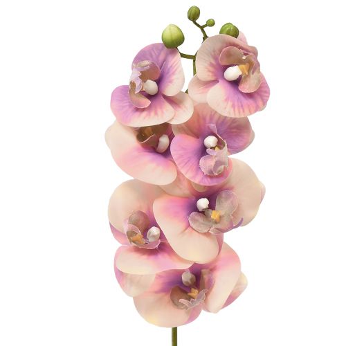 Floristik24 Orchidee Phalaenopsis künstlich 7 Blüten Violett Creme 73cm