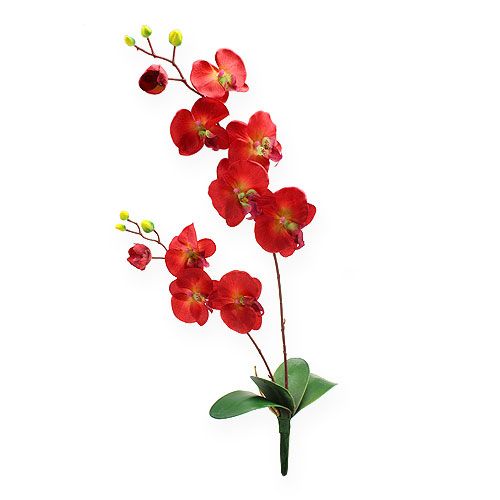 Floristik24 Deko Orchidee Rot 68cm