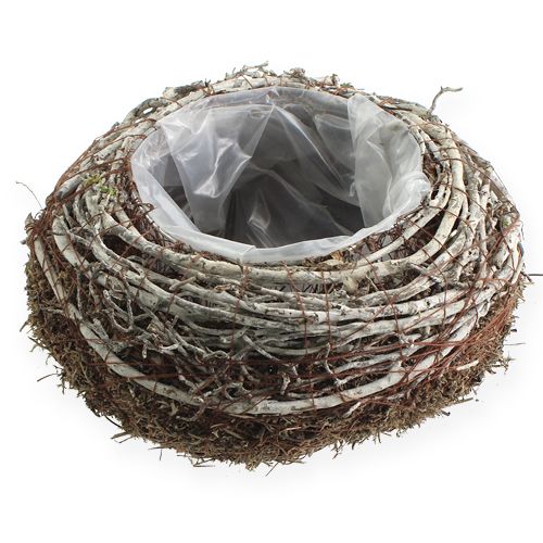 Floristik24 Pflanzschale Ø18cm