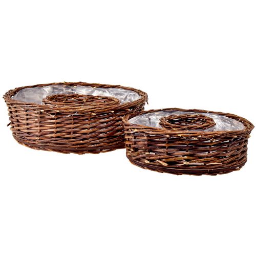Floristik24 Weiden Pflanzringe Set Ø32/25cm 2er rustikal Naturdeko