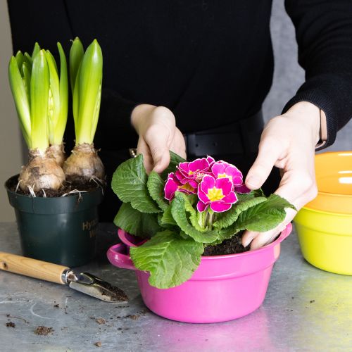 Artikel Pflanzschale Metall Originelles Design für gehobenes Wohnambiente und stilvolle Deko 17cm 3St