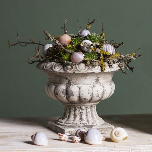 Floristik24 Pflanzschale klein Pflanzkübel Pokal Antik Beton Ø15cm H13cm