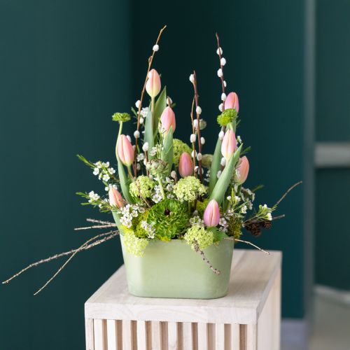 Artikel Pflanzschale oval Grün Schale Kunststoff 20×10×11cm 3St