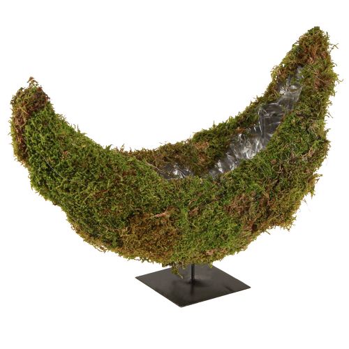 Artikel Moos Deko Pflanzschale Halbmond mit Metallsockel, Natur-Deko für Wohnraum & Feier, 40×15×30cm