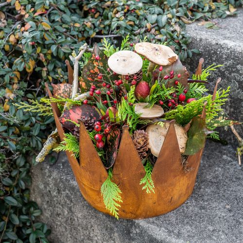 Floristik24 Pflanztopf Rost Dekoschale Metall Deko Krone Vintage Ø30cm