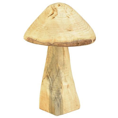 Floristik24 Natürlicher Deko-Pilz aus Ulmenholz Holzpilz 27cm