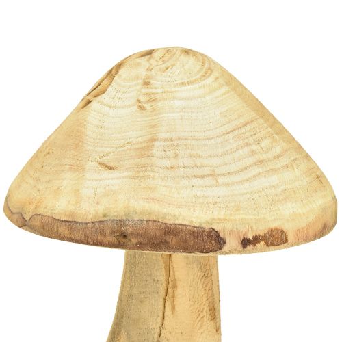 Floristik24 Natürlicher Deko-Pilz aus Ulmenholz Holzpilz 27cm
