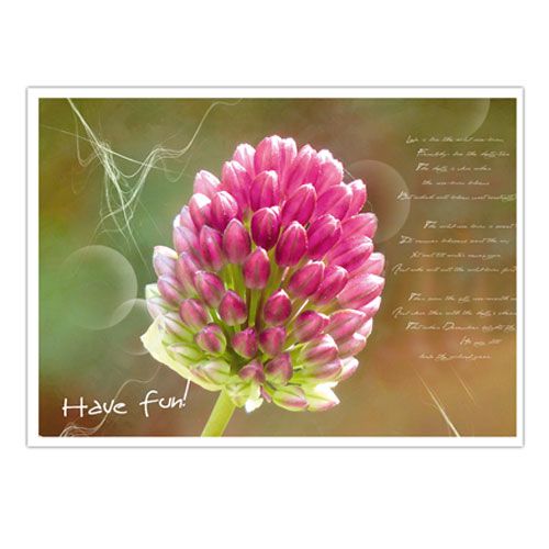Artikel Postkarten mit Blumenmotiven sort. 4St