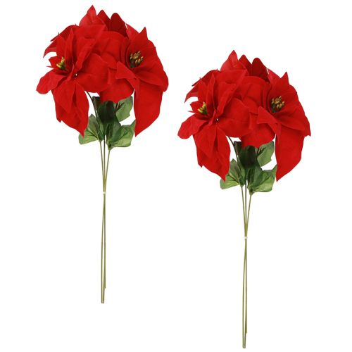Artikel Prächtiger Weihnachtsstern - Poinsettia in Rot – 46 cm 6St.
