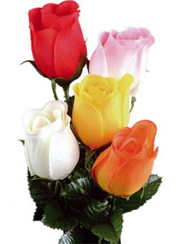 Floristik24 Rose farbig 72 St