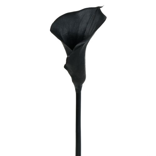 Floristik24 Deko-Calla Schwarz 75cm