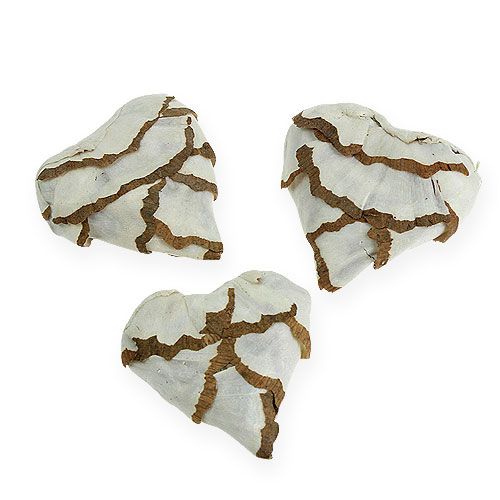 Sola Cabbage Herz 6cm flach 12 St.